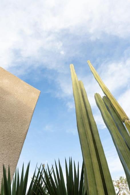 Desert Princess Villa Palm Springs Area Cathedral City Kültér fotó