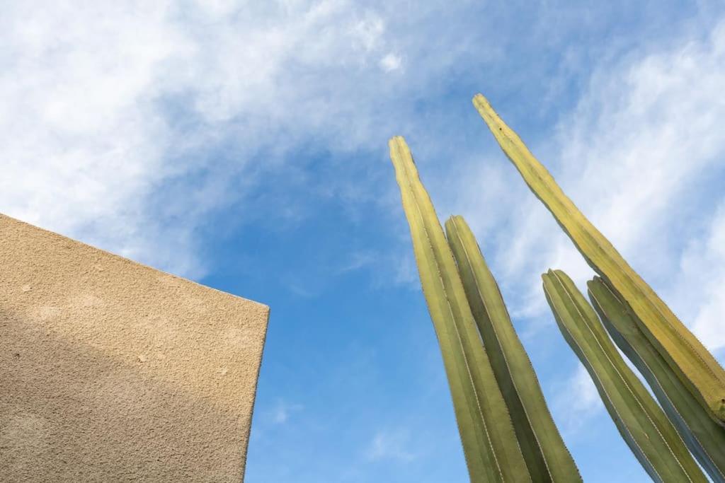 Desert Princess Villa Palm Springs Area Cathedral City Kültér fotó